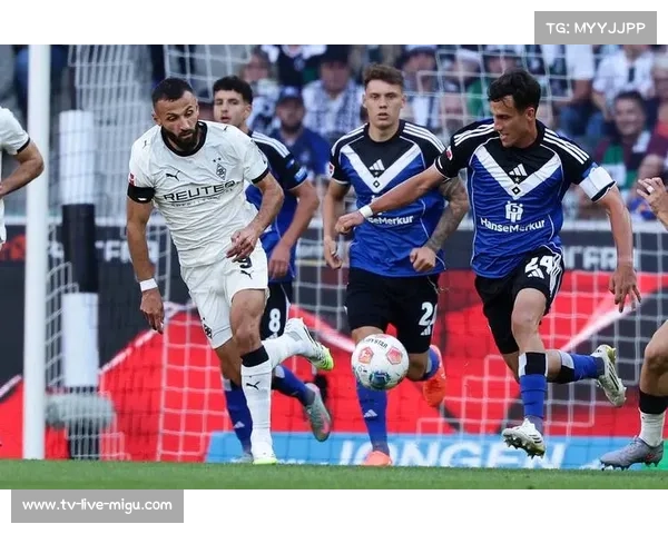 德甲俱乐部联合社区开展足球公益活动,推广体育精神